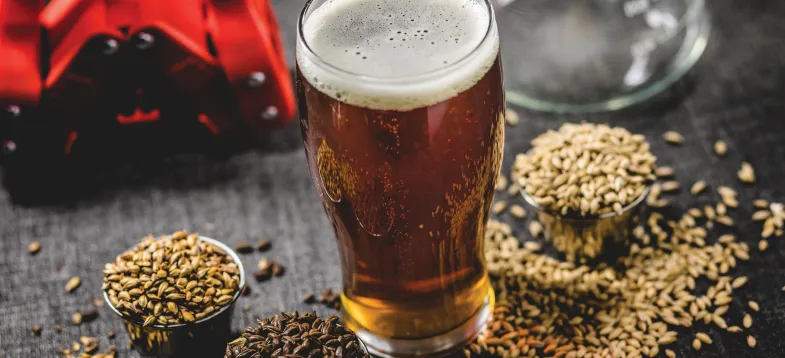  啤酒發(fā)酵過(guò)程大揭秘！vAPCI+CMS 聯(lián)用新技術(shù)如何快速捕捉風(fēng)味密碼？